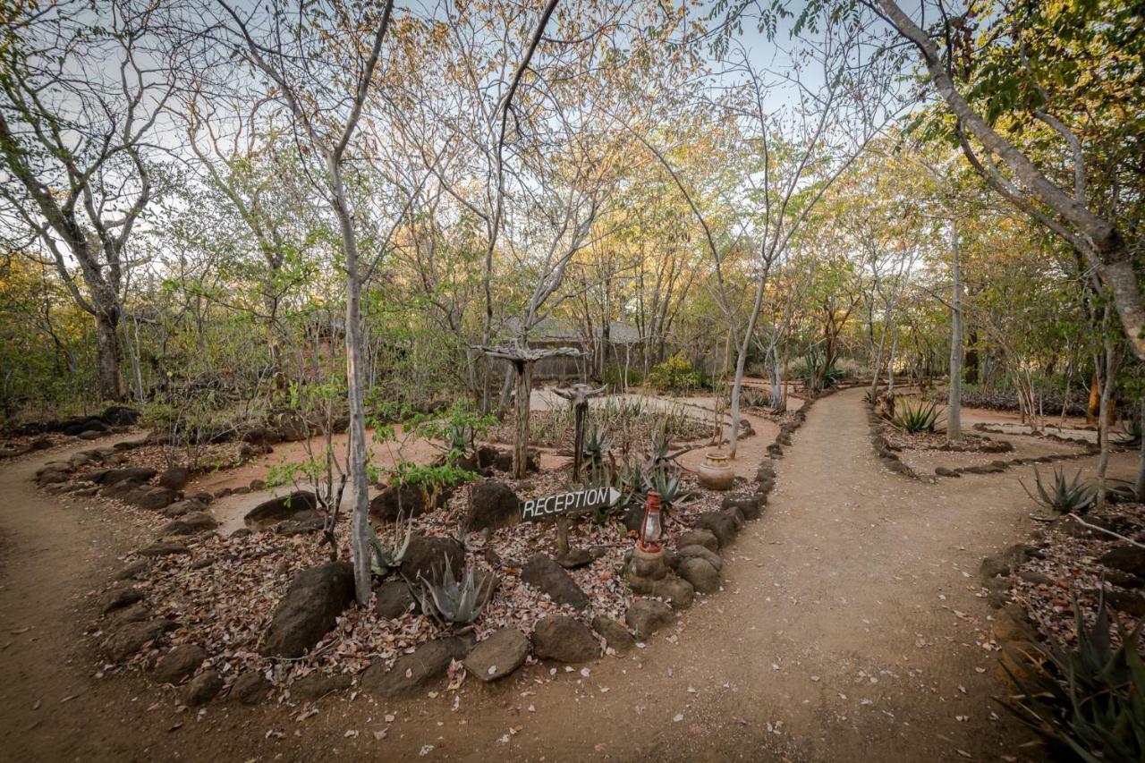 Taita Falcon Lodge Mukuni المظهر الخارجي الصورة